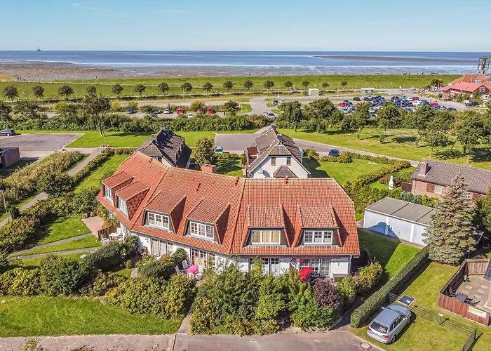 Deichschaf * Friedrichskoog